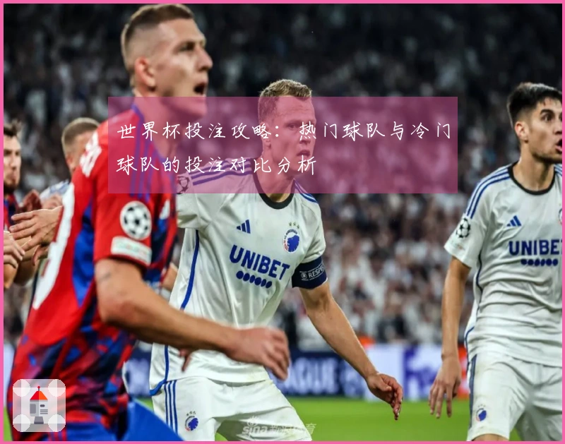 世界杯投注攻略：热门球队与冷门球队的投注对比分析