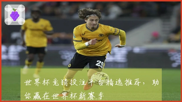 世界杯竞猜投注平台精选推荐，助你赢在世界杯新赛季