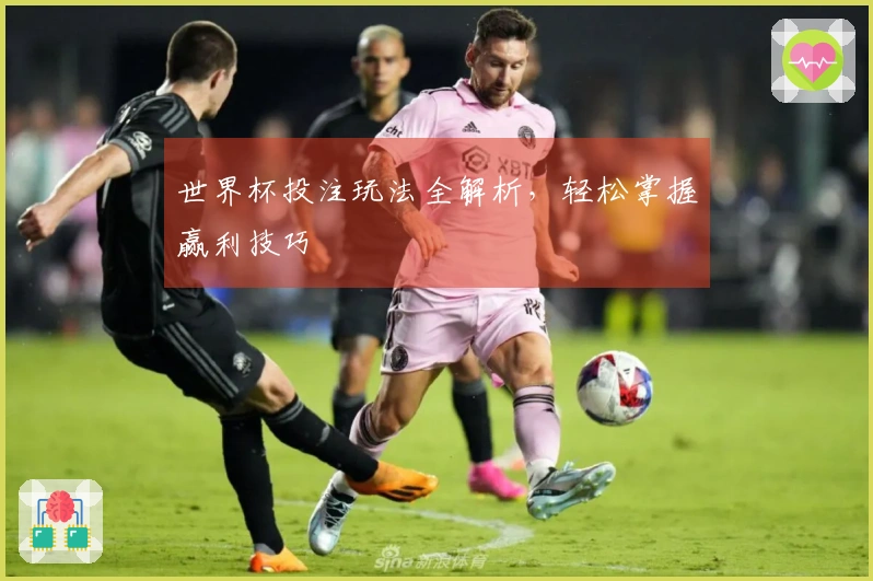世界杯投注玩法全解析，轻松掌握赢利技巧