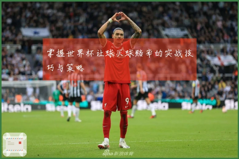 掌握世界杯让球买球赔率的实战技巧与策略