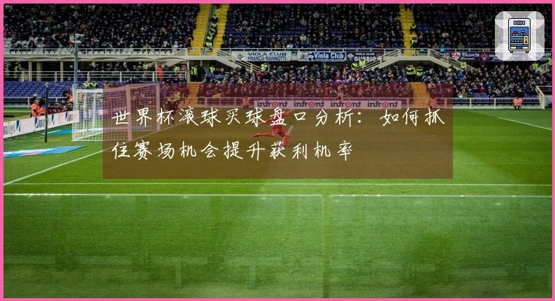 世界杯滚球买球盘口分析：如何抓住赛场机会提升获利机率