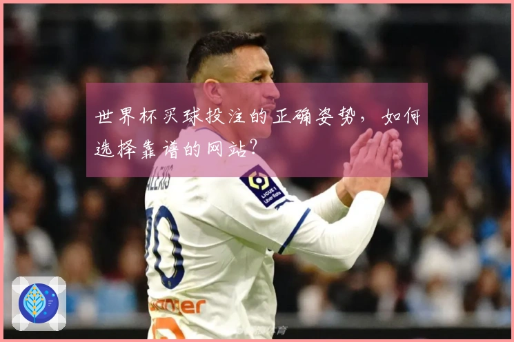 世界杯买球投注的正确姿势，如何选择靠谱的网站？